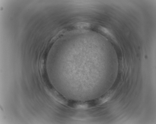 X0000065240263200602242032