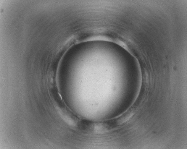 X0000065240264200602242032