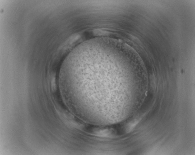 X0000065240267200602242032