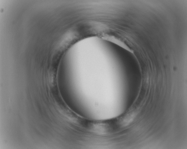 X0000065240268200602242032