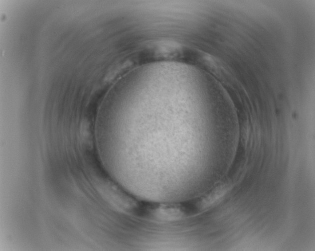 X0000065240270200602242032