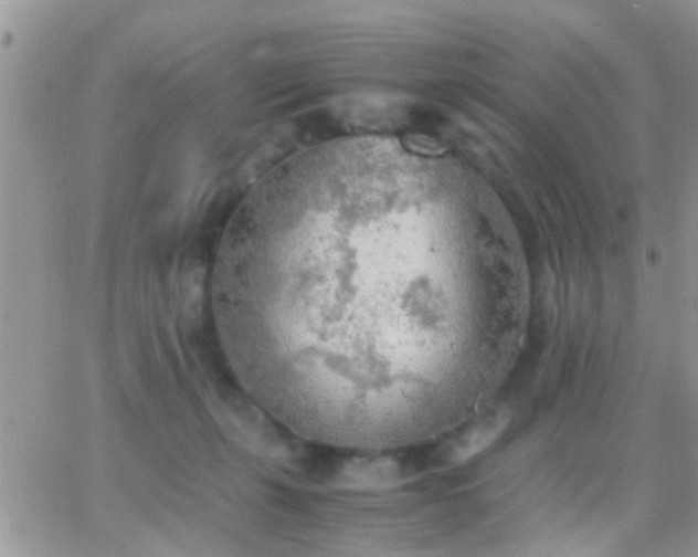 X0000065240271200602242032