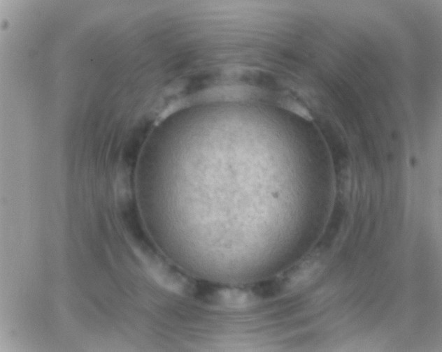 X0000065240272200602242032