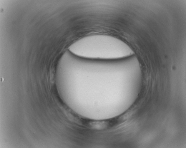 X0000065240273200602242032