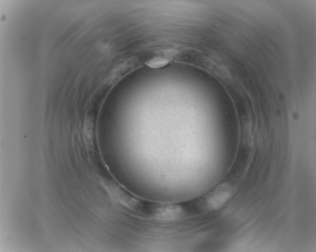 X0000065240274200602242032