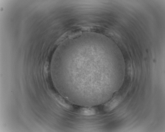 X0000065240275200602242032