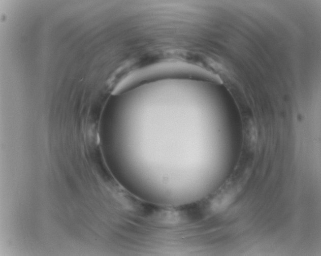 X0000065240276200602242032