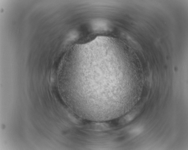 X0000065240277200602242032