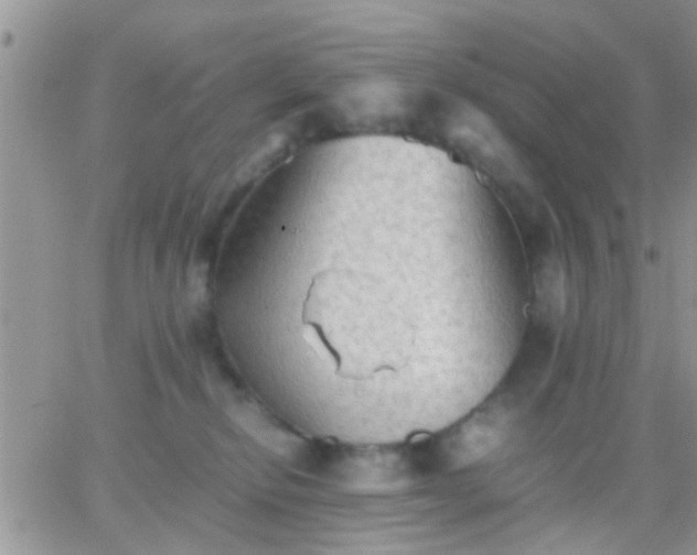 X0000065240278200602242032