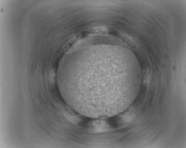 X0000065240279200602242032