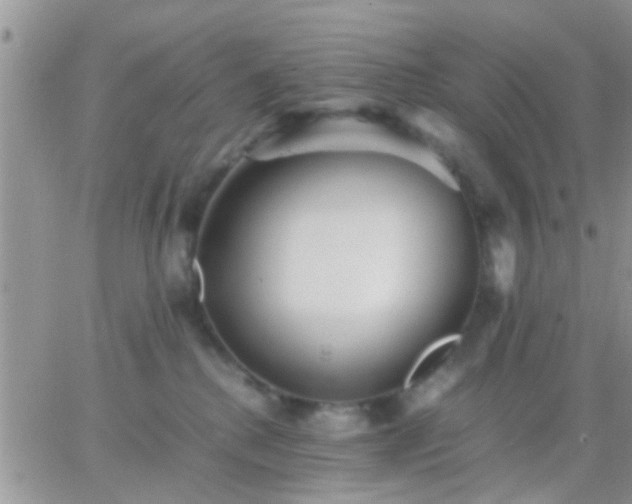 X0000065240280200602242032