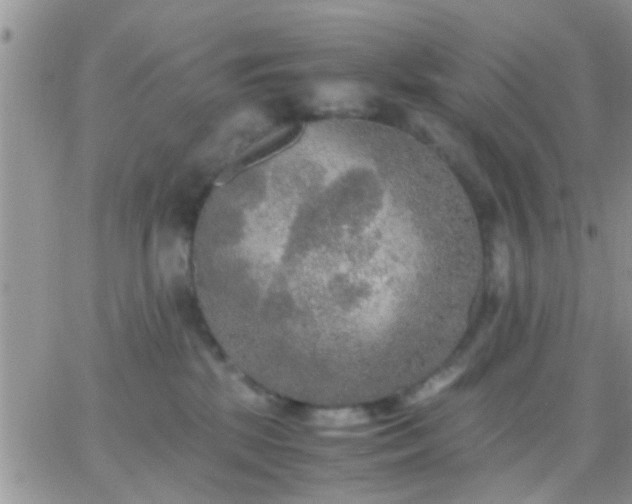 X0000065240281200602242032