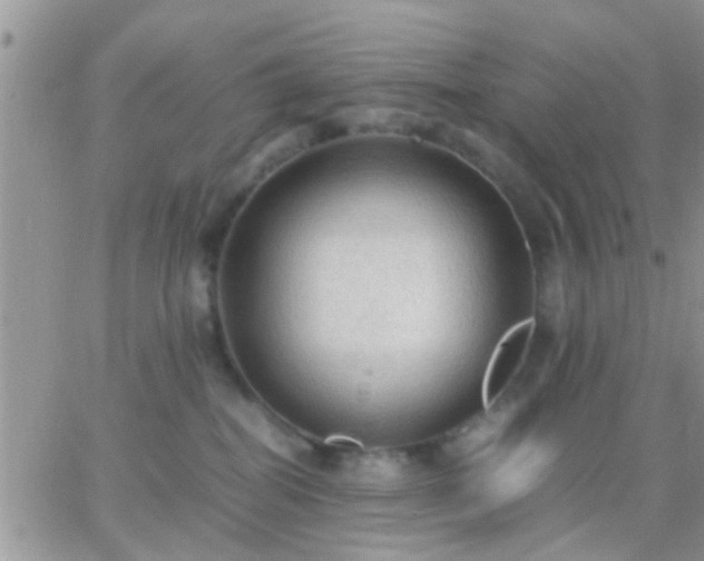 X0000065240282200602242032