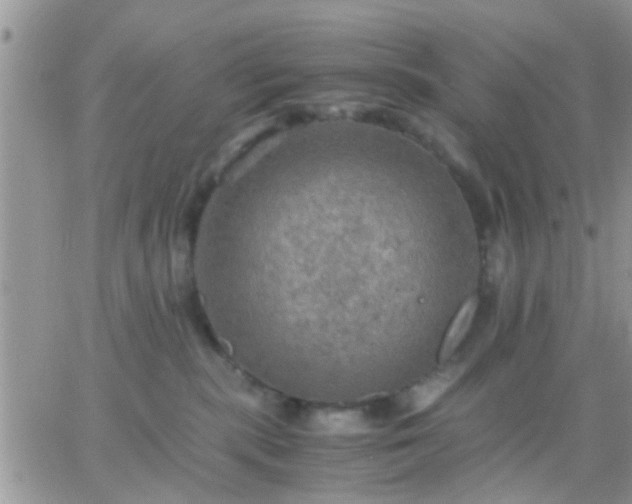 X0000065240283200602242032