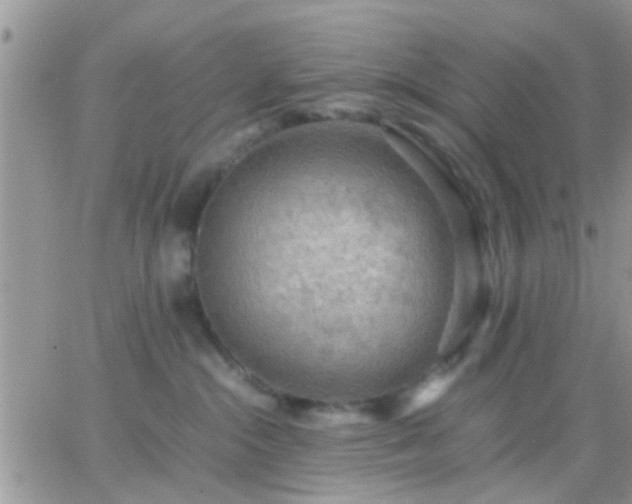 X0000065240284200602242032