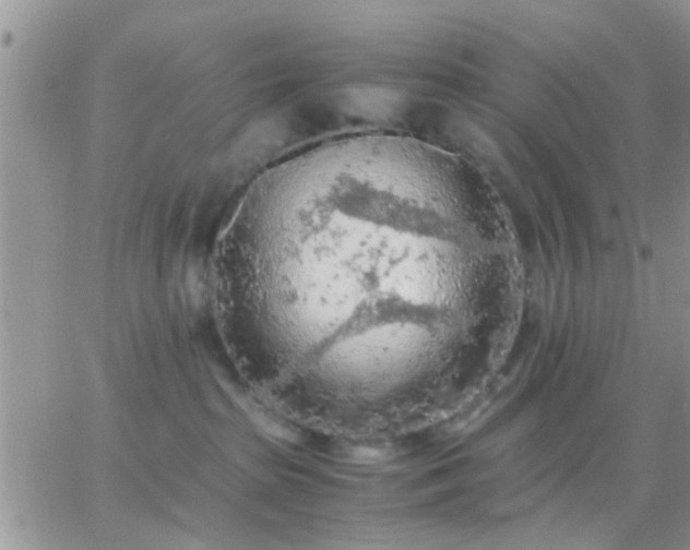 X0000065240285200602242032