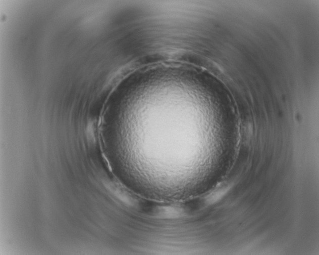 X0000065240286200602242032