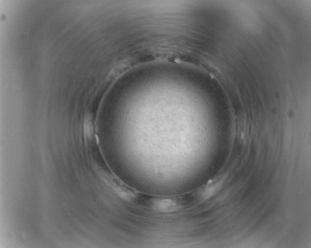 X0000065240287200602242032