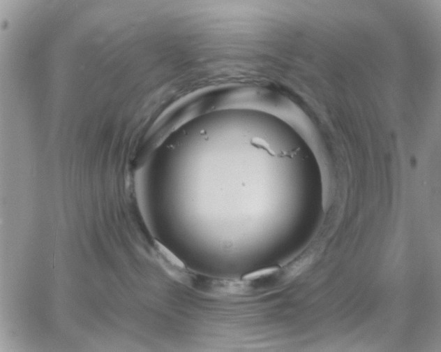 X0000065240288200602242032