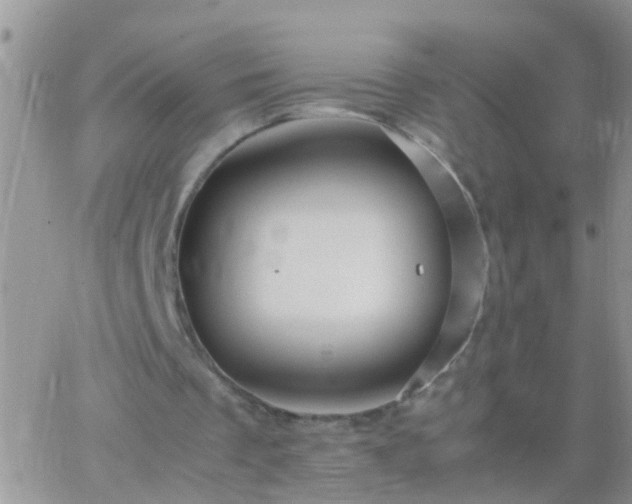 X0000065240289200602242031