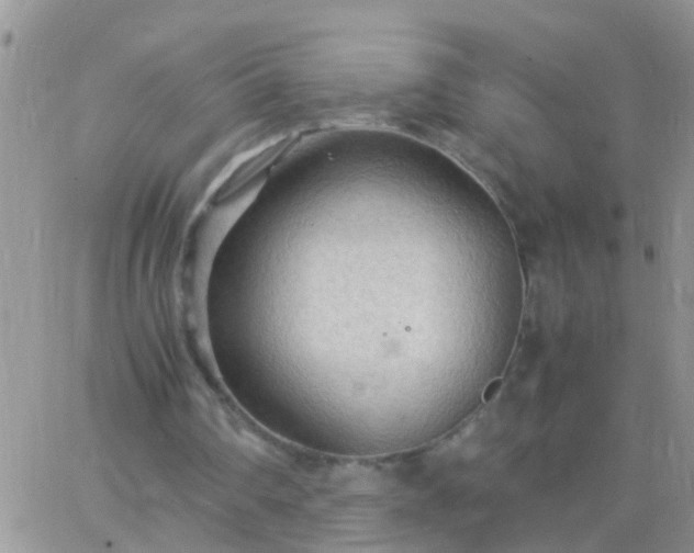 X0000065240290200602242031