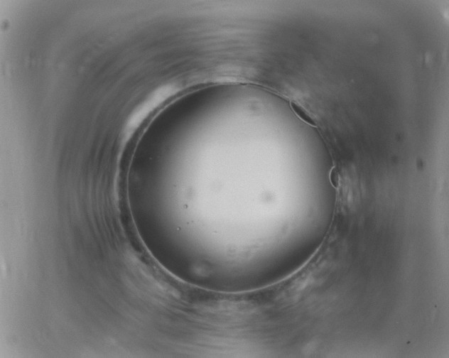 X0000065240292200602242031