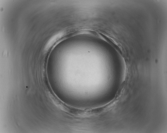 X0000065240293200602242031