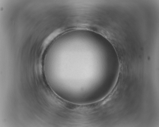 X0000065240294200602242031