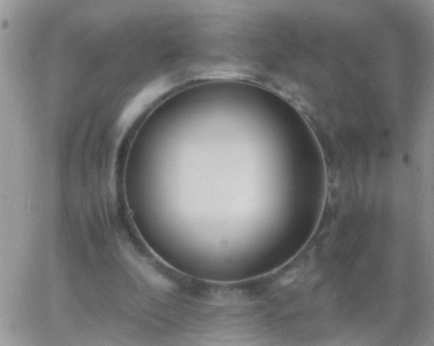 X0000065240296200602242031