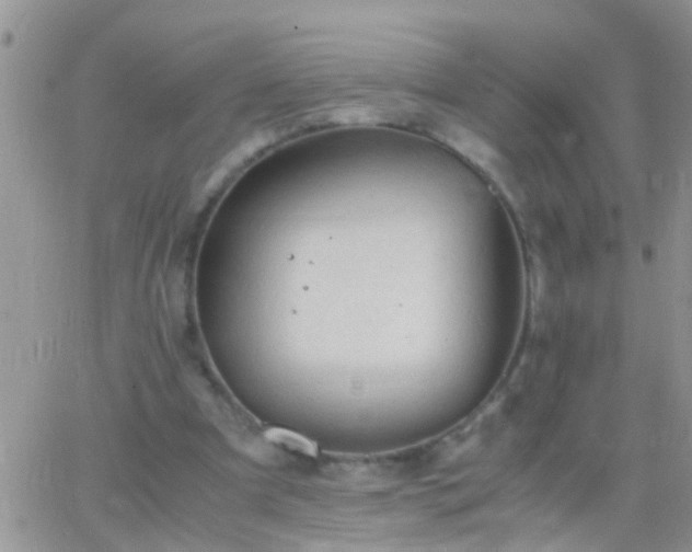 X0000065240297200602242031