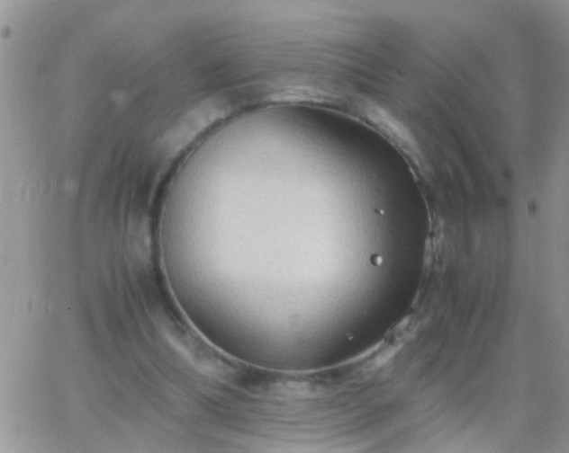 X0000065240298200602242031