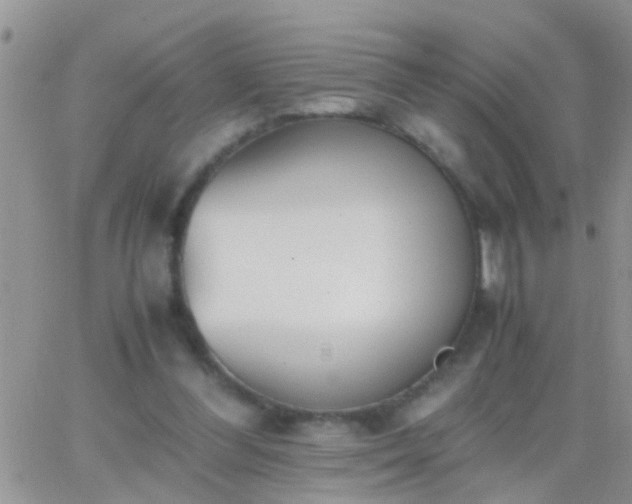 X0000065240300200602242031