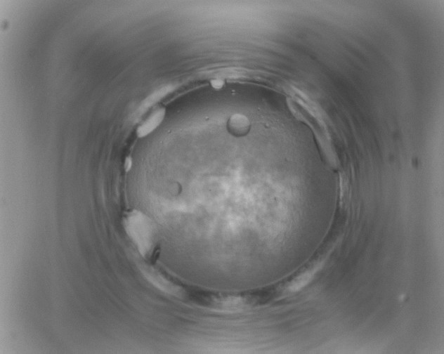 X0000065240301200602242031