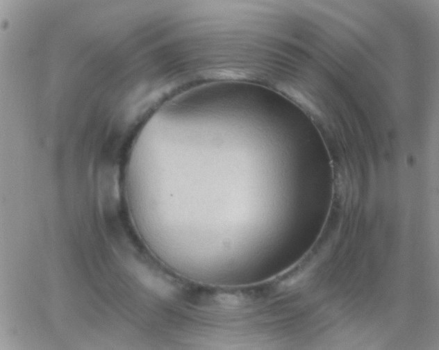 X0000065240302200602242031