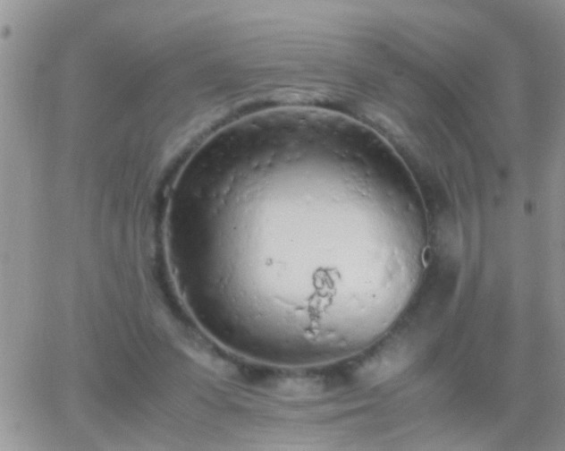 X0000065240303200602242031