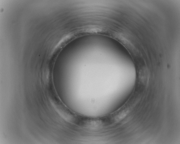 X0000065240304200602242031