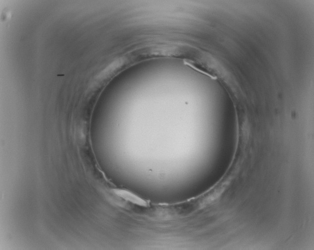 X0000065240305200602242031