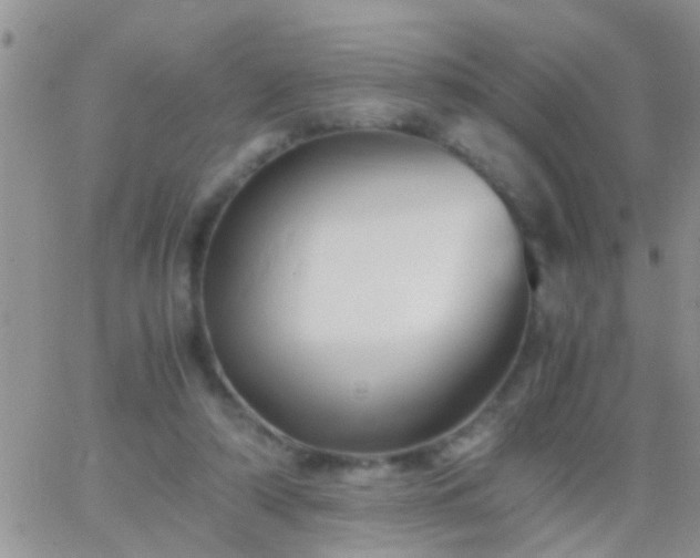 X0000065240306200602242031