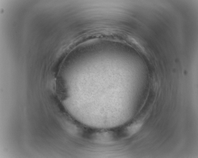 X0000065240307200602242031