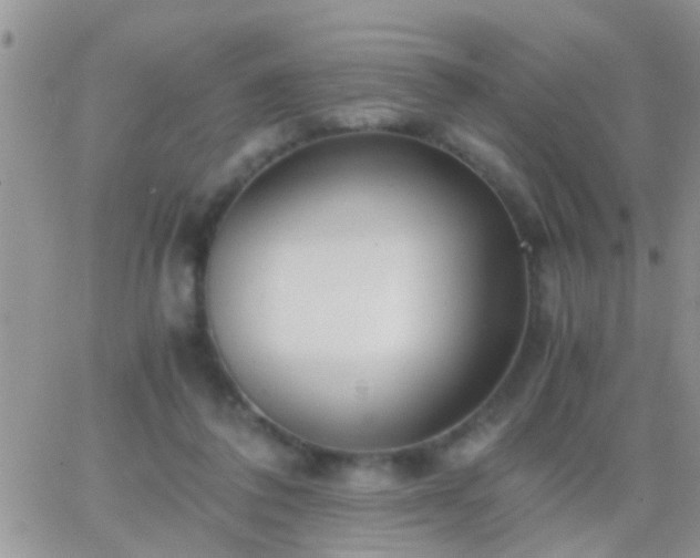 X0000065240308200602242031