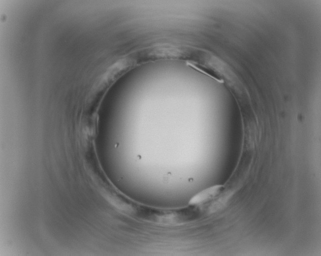 X0000065240309200602242031