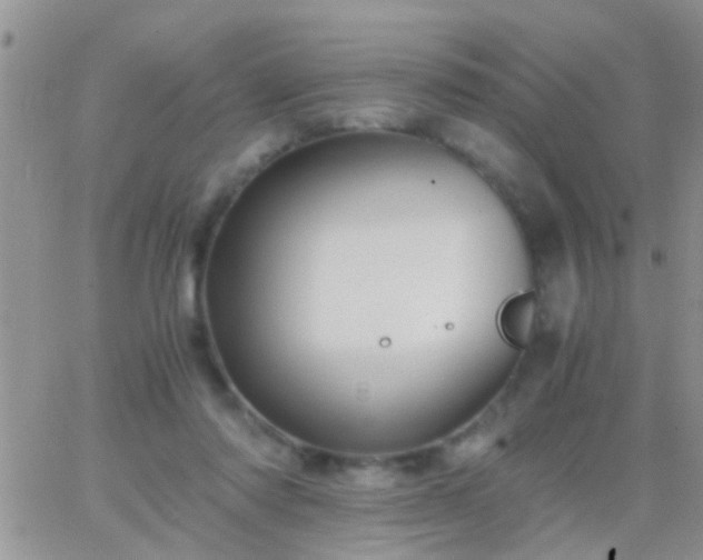 X0000065240310200602242031