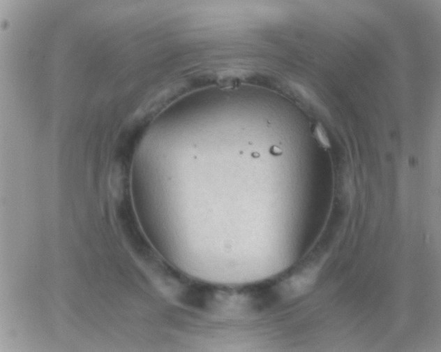 X0000065240311200602242031