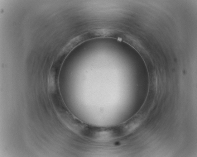 X0000065240312200602242031