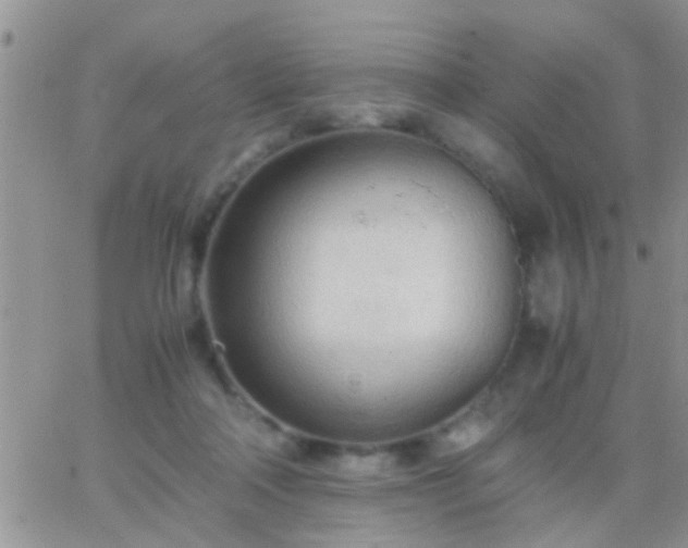 X0000065240314200602242031