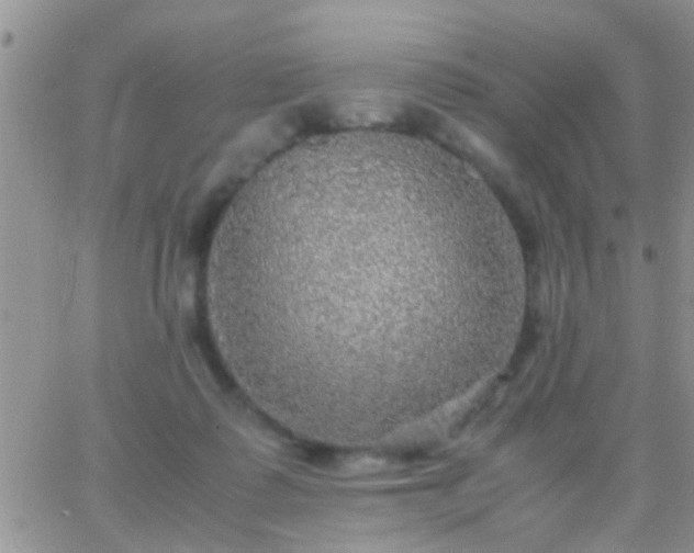 X0000065240315200602242031