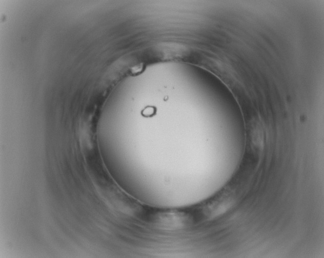 X0000065240316200602242031