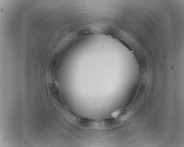 X0000065240317200602242031