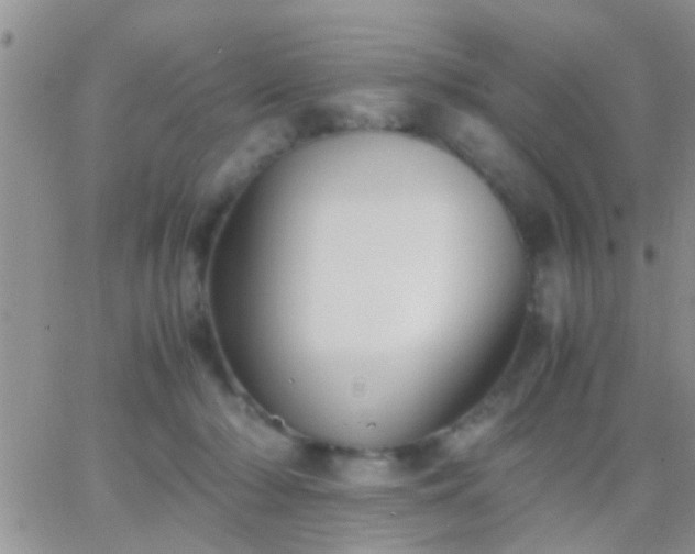 X0000065240318200602242031