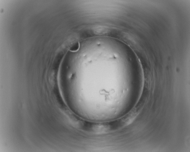 X0000065240319200602242031